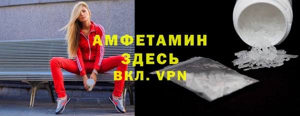 дмт Дмитров