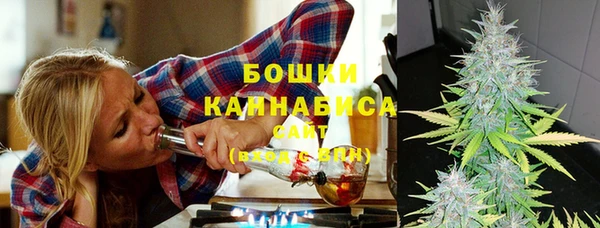 дмт Дмитров