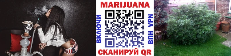 Купить  Россошь  Конопля Ganja 
